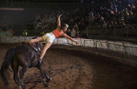 Mostra Nazionale del cavallo 2024