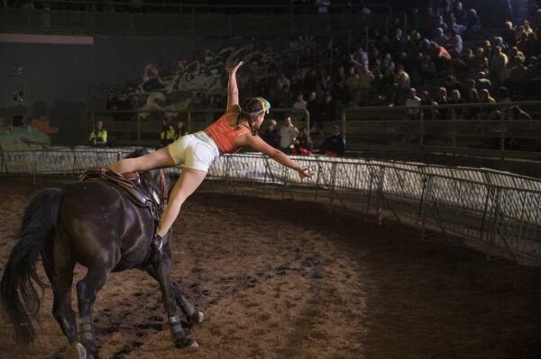 Mostra Nazionale del cavallo 2024