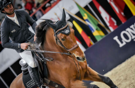 Salone del cavallo di Helsinky 2024.