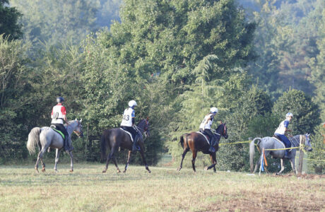 WEG - EnduranceTryon, 12/09/2018Ph.Stefano Grasso/Cavalleria Toscana-Fise