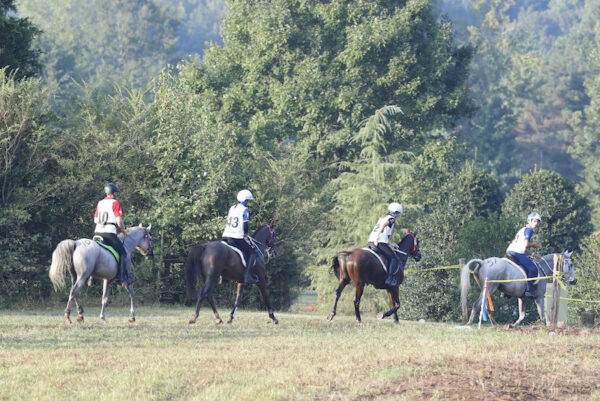 WEG - EnduranceTryon, 12/09/2018Ph.Stefano Grasso/Cavalleria Toscana-Fise