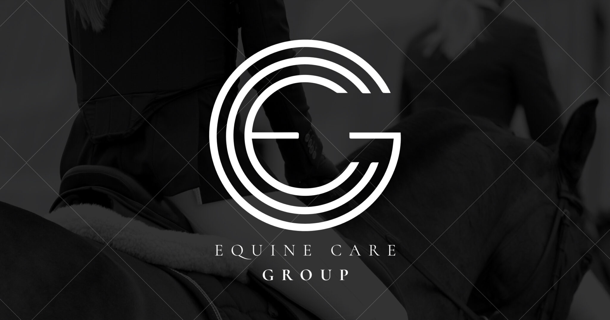 Equine Care Group 1