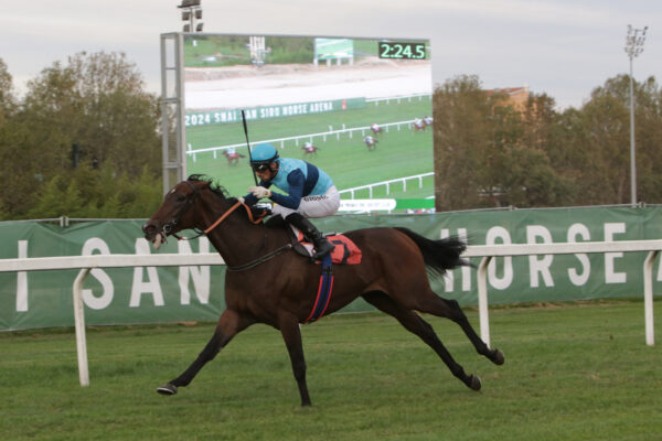 Ippodromo Snai San Siro GP Jockey Club