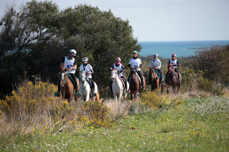 Gruppo in collina vista mare