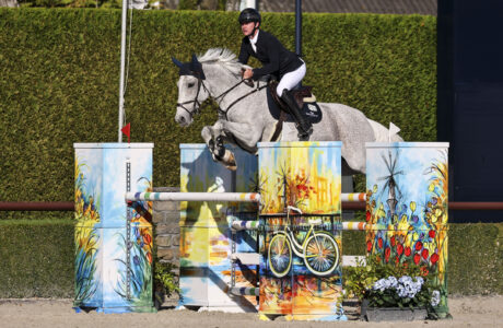 Pender Michael IRL Highcross Violet CSI2* Valkenswaard 130 ph.Stefano Secchi