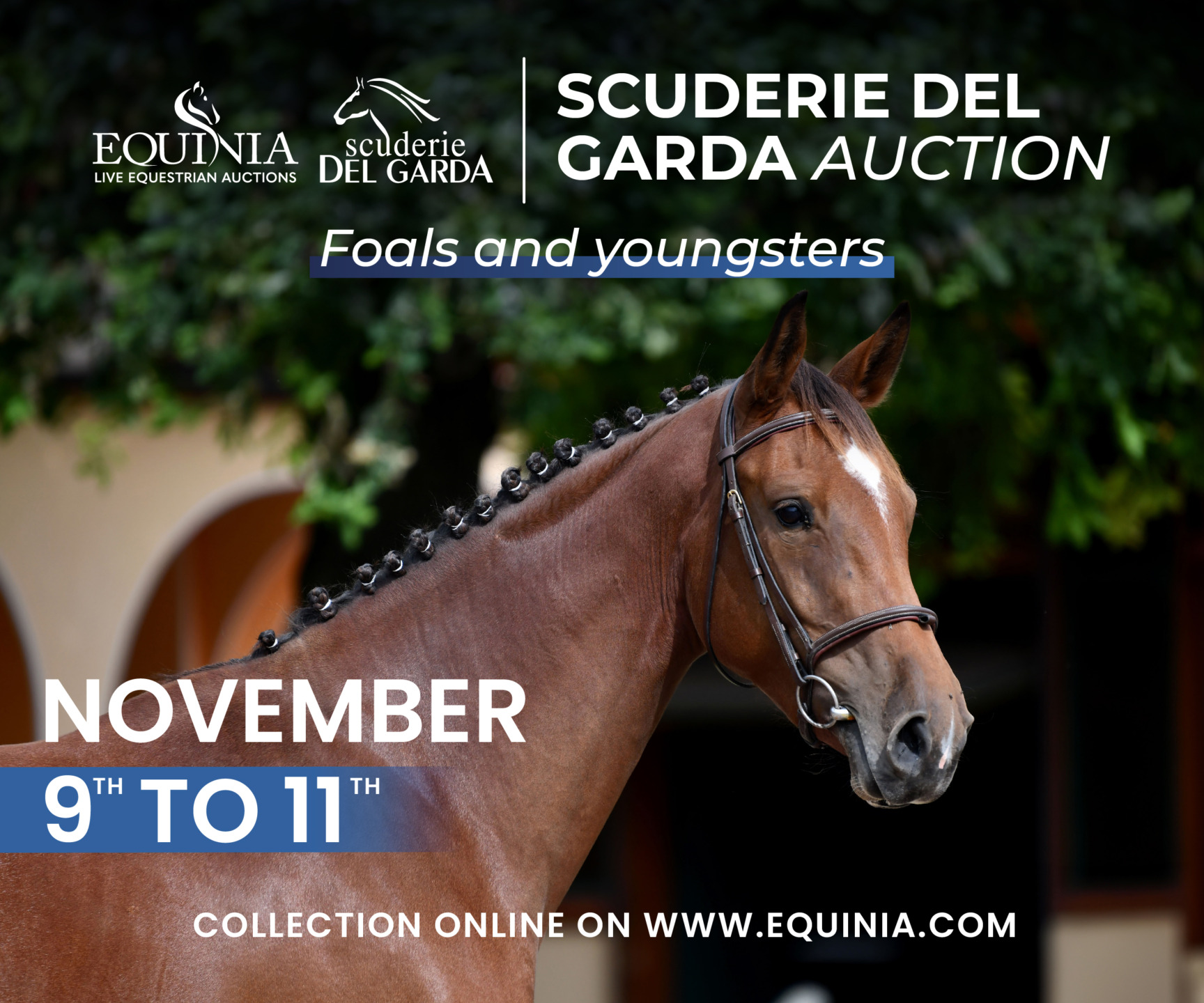 Logo Scuderie del Garda online Auction presented by Equinia