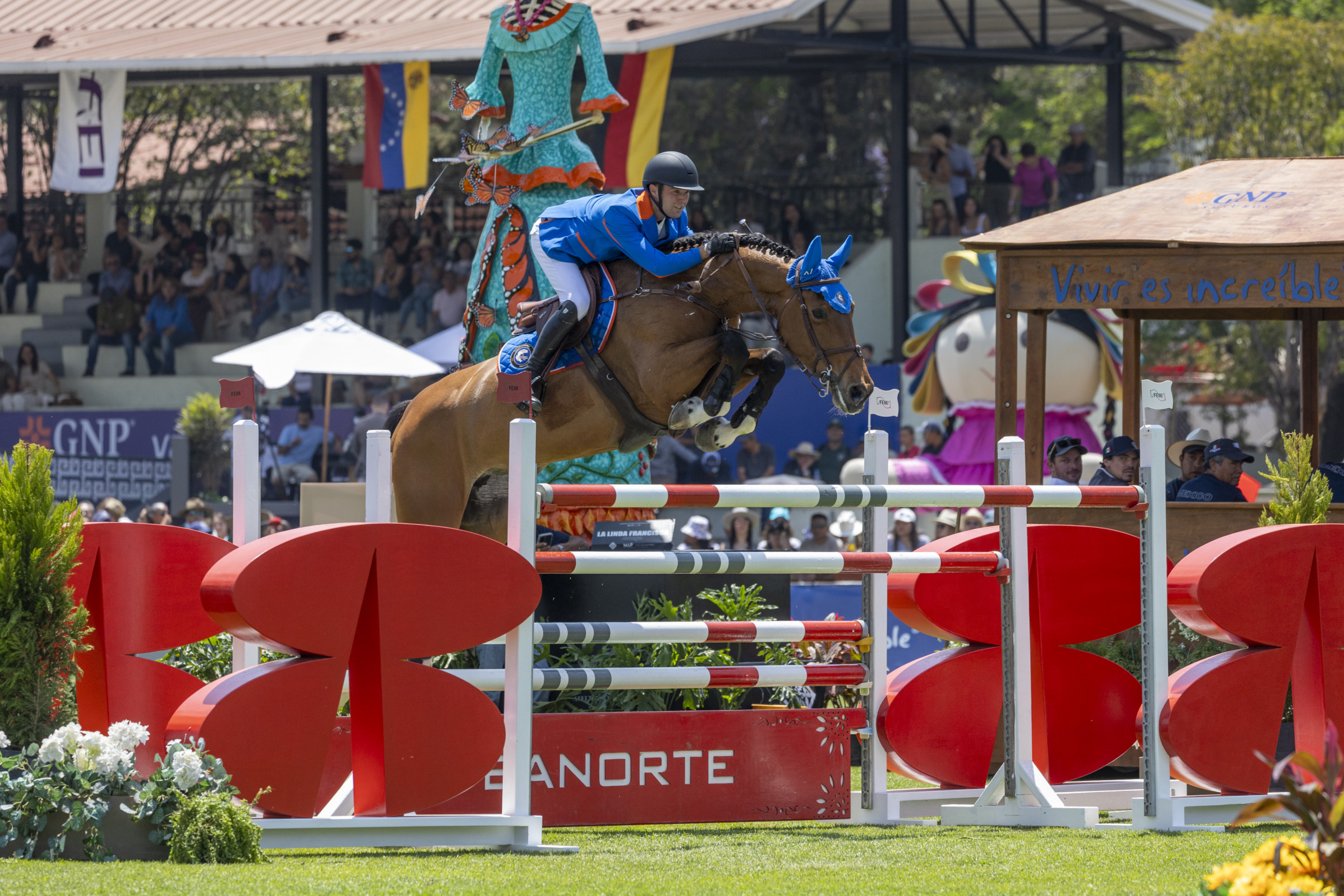 Thomas Gilles BEL riding Luna van het