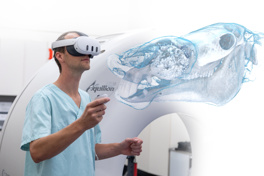 Virtual Reality in Equine medicine 3