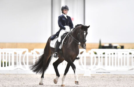 Dressage Ocala World Equestrian Center 2024