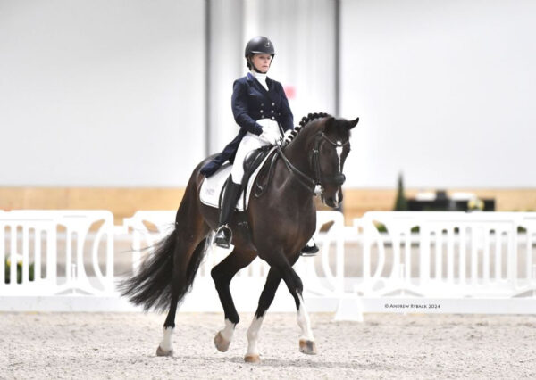 Dressage Ocala World Equestrian Center 2024