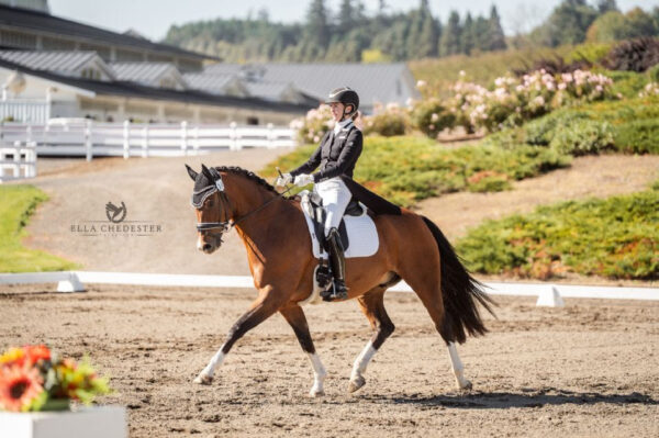 Dressage, Kentucky 2024