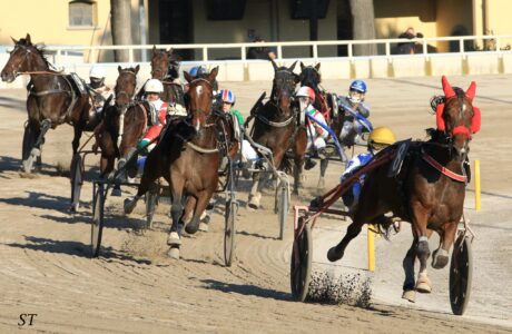 Ippodromo Arcoveggio di Bologna corsa al trotto