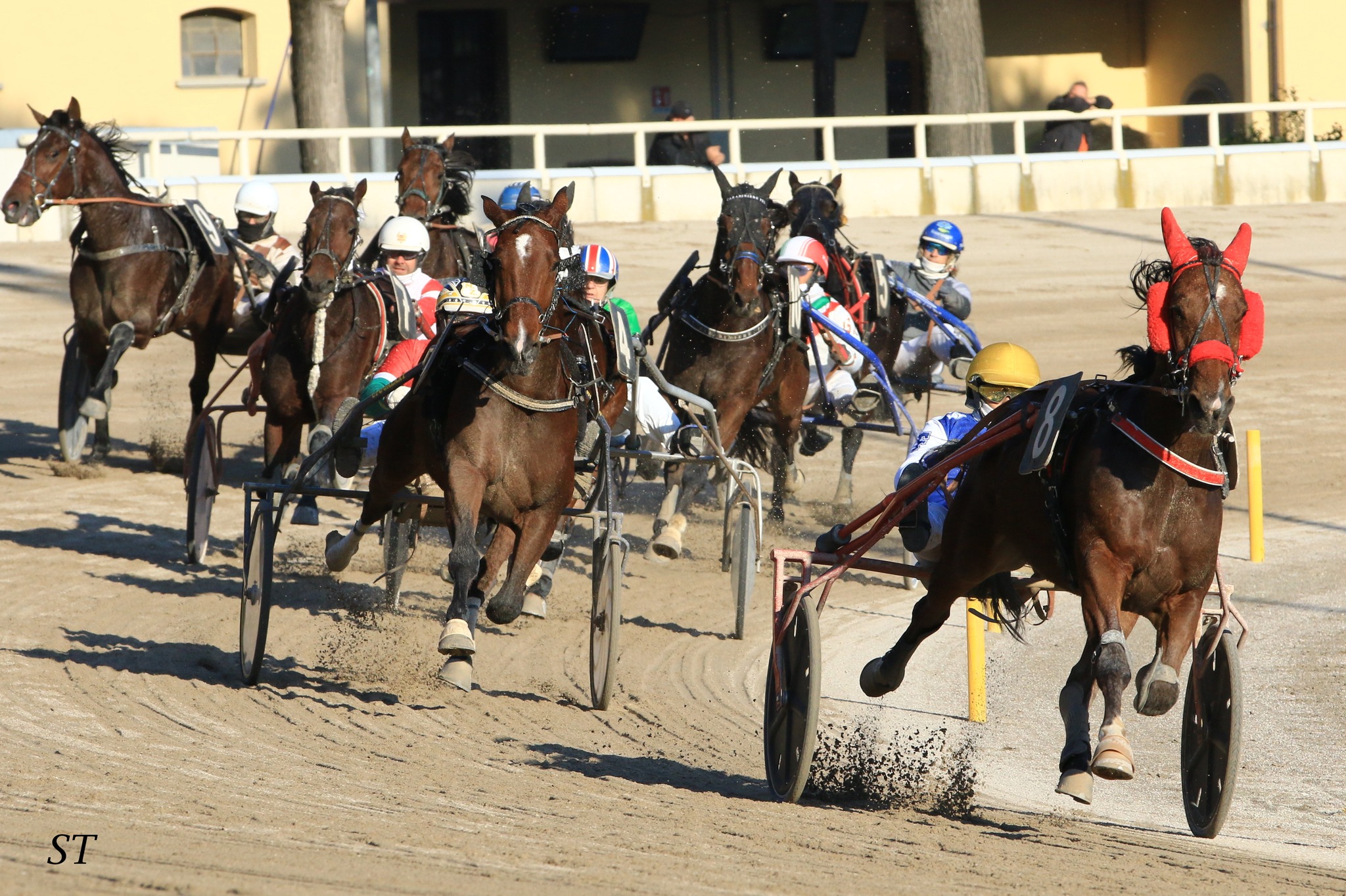 Ippodromo Arcoveggio di Bologna corsa al trotto