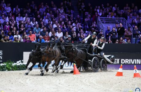 Equita Lyon. I migliori cavalieri e i migliori guidatori del mondo, arrivano a Lyone.