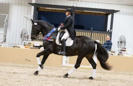 Sara Stone Dressage USDF Kentucky 2024