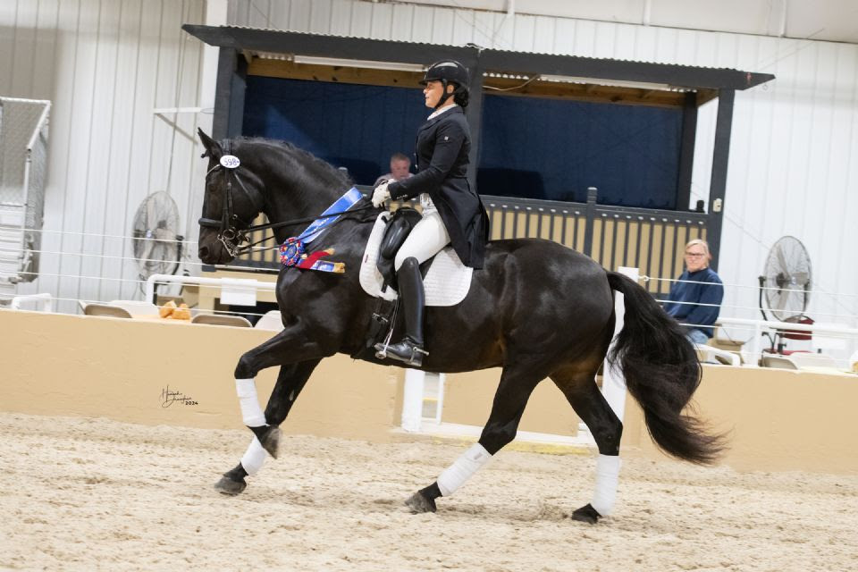 Sara Stone Dressage USDF Kentucky 2024