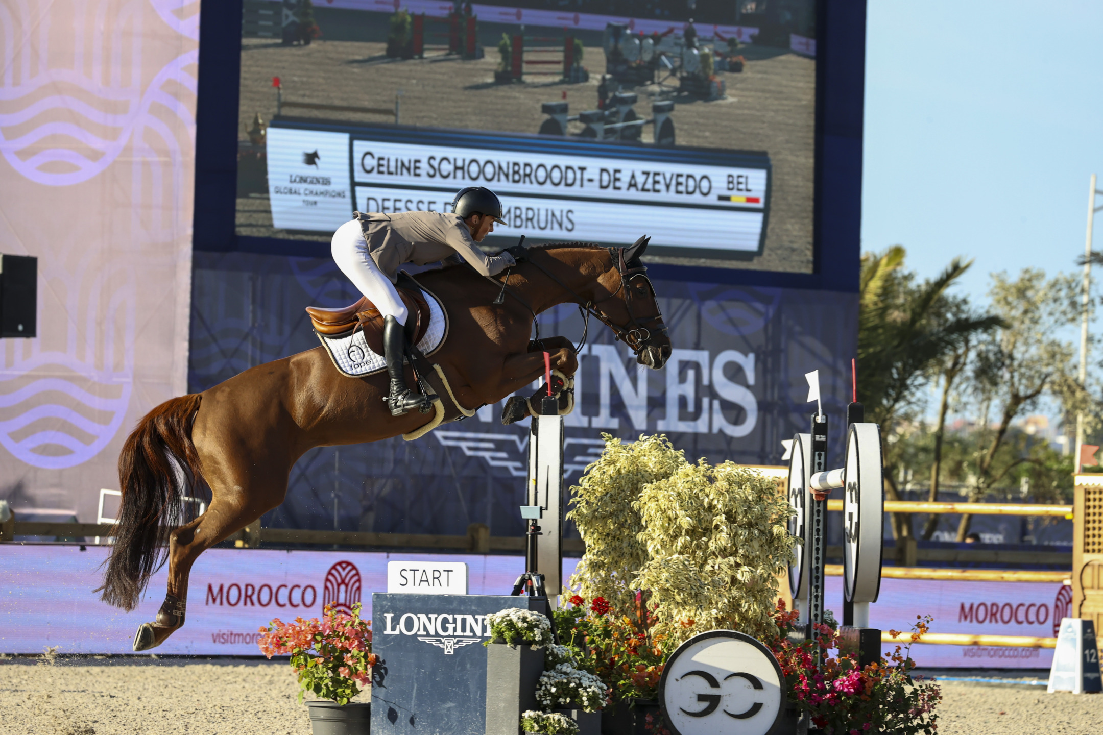 schoonbroodt de azevedo celine bel riding deesse des embruns csi5 07 155 rabat 20241019 02sg2501