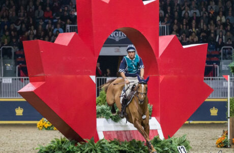 Royal Fair di Toronto dal 1 al 10 novembre 2024