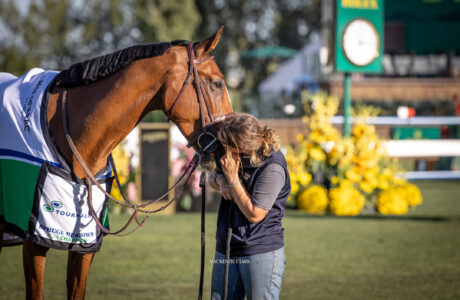 Mackenzie Clark Spruce Meadows showgroom