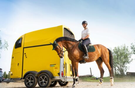 Berton a Fieracavalli, l'eccellenza del trasporto equestre