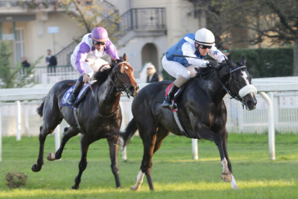 Premio La Carriera di Pimlico all'Ippodromo Arcoveggio