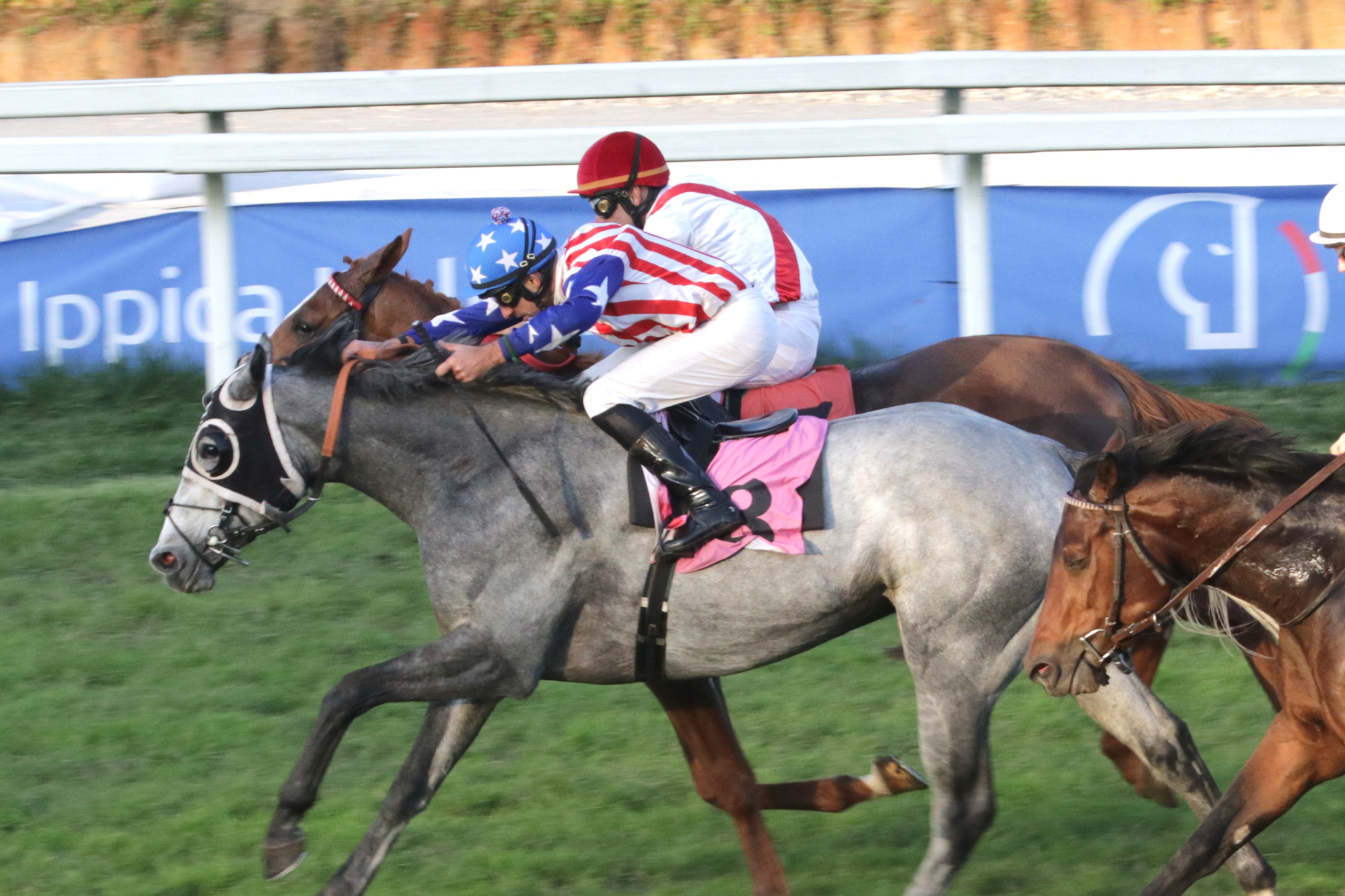 Corsa Premio donatori di sangue Ippodromo