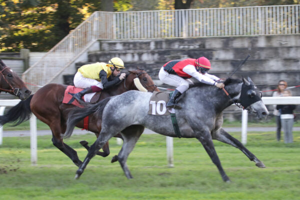 Corsa 4 Premio Fiume ippodromo Snai San Siro