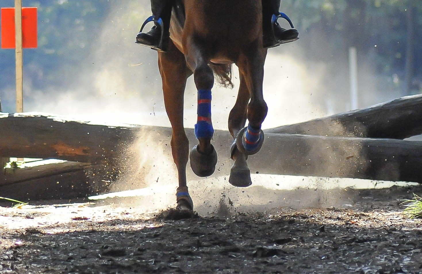 Salto ostacoli: FEI. Italia qualificata per la Longines League of Nations 2025