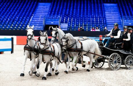 Driving World Cup Lyon 2024 4