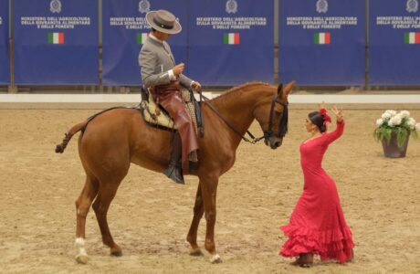 Il salone internazionale dedicato al mondo equestre inaugura domani, giovedì 7 novembre alle ore 11