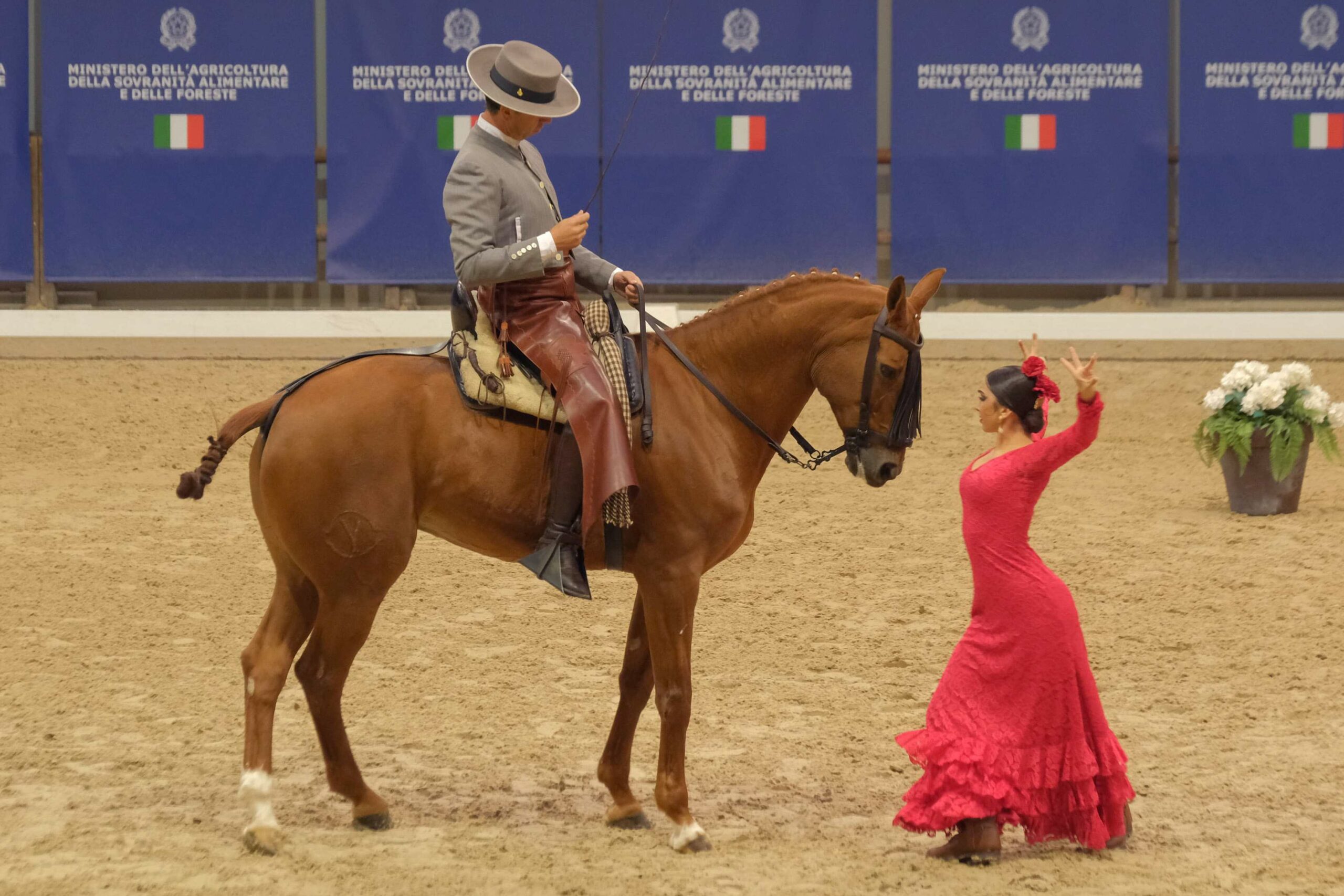 Il salone internazionale dedicato al mondo equestre inaugura domani, giovedì 7 novembre alle ore 11