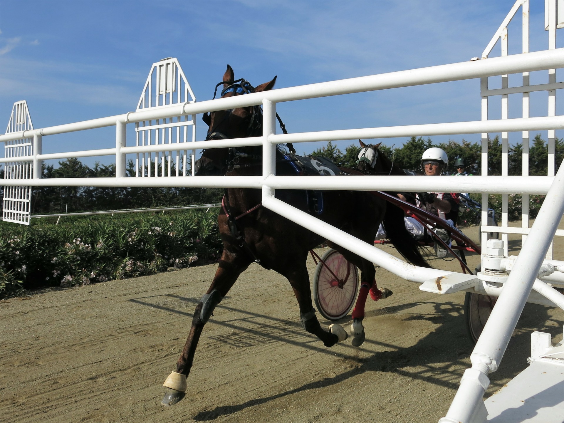 Ippodromo del Mediterraneo