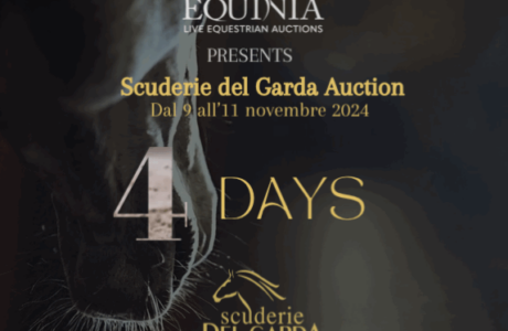 Scuderie del Garda Auction_