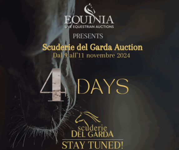 Scuderie del Garda Auction_