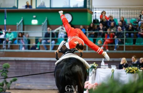 Volteggio equestre ai campionati italiani di volteggio