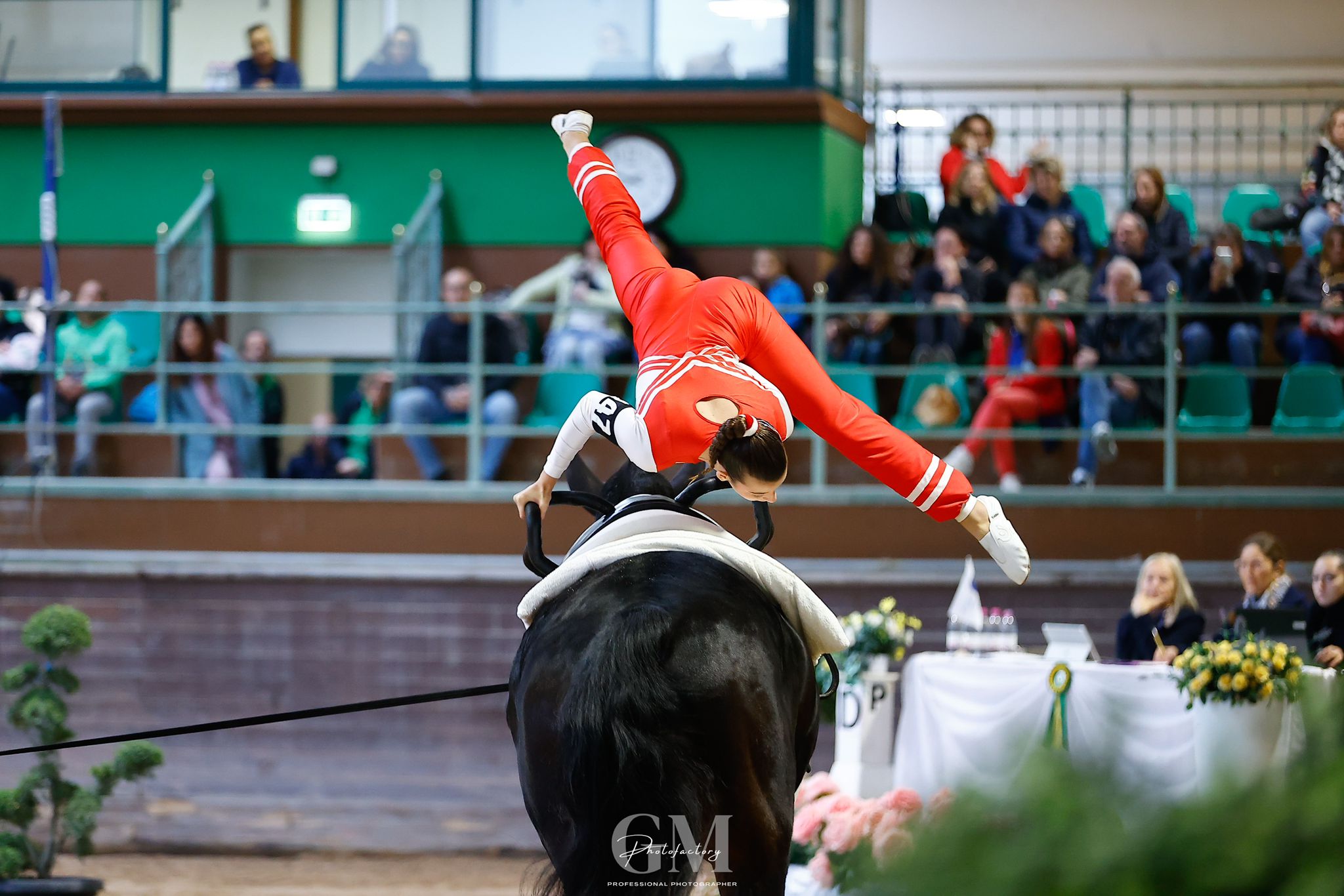 Volteggio equestre ai campionati italiani di volteggio