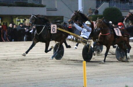 Ippodromo Arcoveggio Bologna corse al trotto