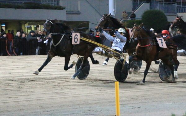 Ippodromo Arcoveggio Bologna corse al trotto