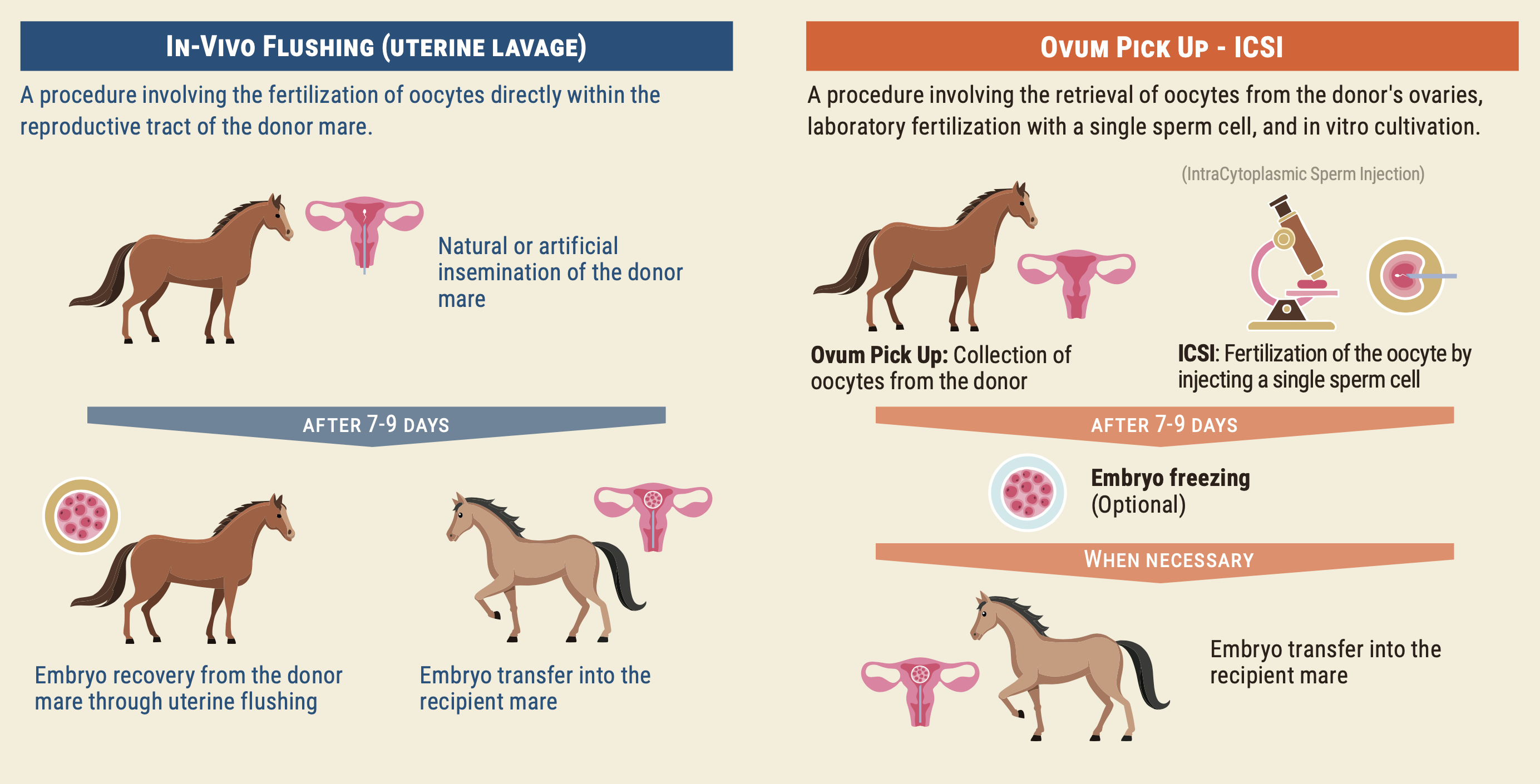 avantea opu icsi comparison en