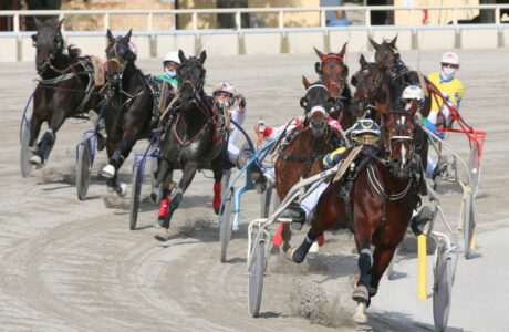 Corsa al trotto all'ippodromo arcoveggio