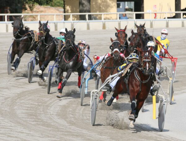 Corsa al trotto all'ippodromo arcoveggio