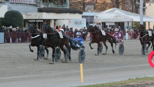 Ippodromo Arcoveggio corse al trotto arrivo Tinarelli