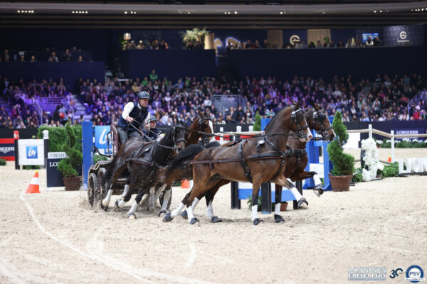 Coppa del mondo FEI DRIVING™ presentata da Laiterie de Montaigu: Dries Degrieck dall'inizi alla fine.