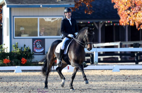 Dressage in Kentuchy 2024