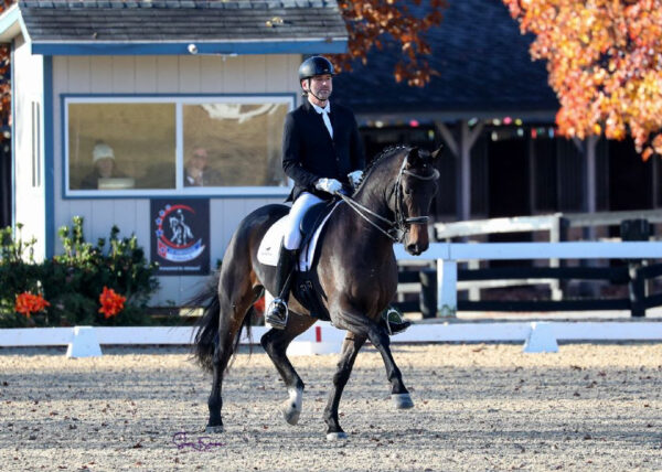 Dressage in Kentuchy 2024