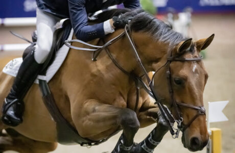 L'americano Alex Matz apre la competizione internazionale al Royal Horse Show di Toronto