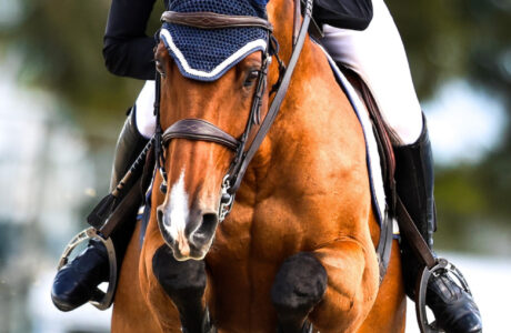 Rivivi l'emozione del Washington International Horse Show del 2024