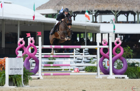 Simon McCarthy si aggiudica l'ArthramidVet CSI3* Grand Prix Qualifier all'Internazionale di Wellington