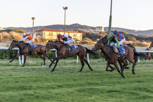 IPPODROMO FEDERICO CAPRILLI RESOCONTO GIORNATA DI CORSE DI SABATO 21 DICEMBRE 2024