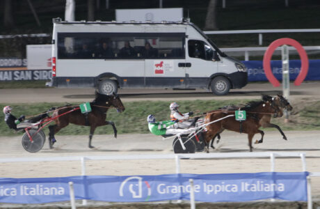 Nell'ultima stagionale di trotto all'Ippodromo9 SNAI San Siro festeggia GFo9lfo d'Est nel Premio Sceicco-